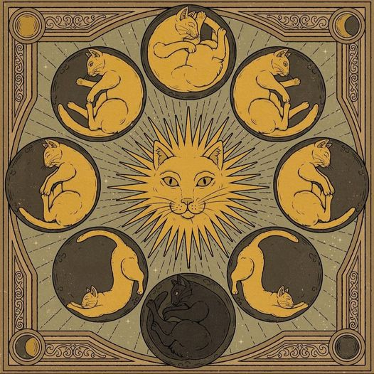 Moon Cycle by Brazilian visual artist Thiago Corrêa ( <a href="/thiagocmart/">Thiago Carvalho</a> ).