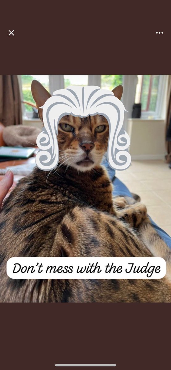 #JudgeJago will be here to be extremely judgy about all of your problems today. Especially if the problem involves chickens 🐔 #teambengal 🤔