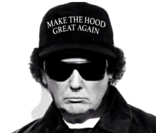 mactac23's tweet photo. @ElonMuskAOC Trump All the Way! https://t.co/70TQQM5UWV