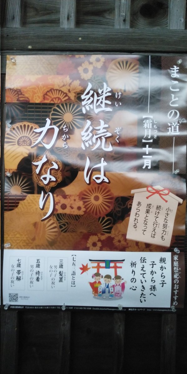 みしまこ(本垢…ほんわか) tweet media