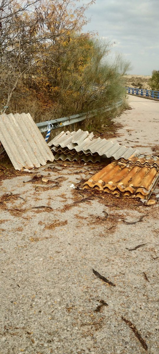 Sergio Palomar tweet media