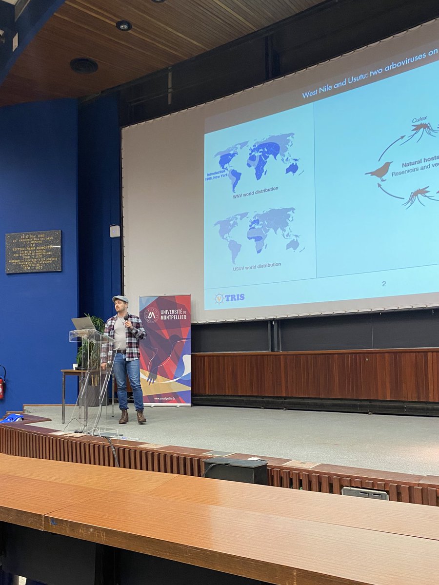 Montpellier Infection & Immunity Meeting MIIM 2024 tweet media