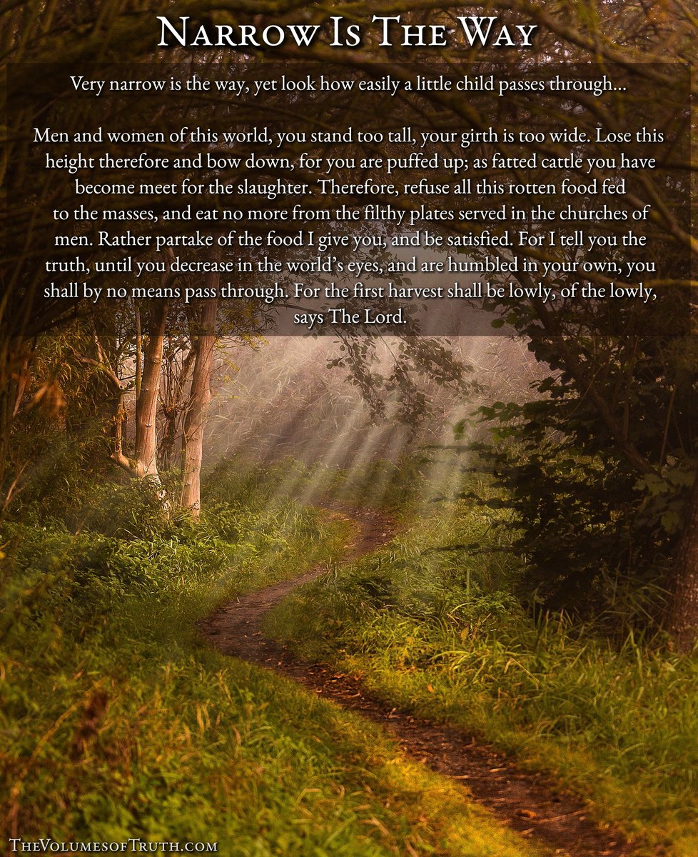 TheTimeHasCome7's tweet photo. π Source: https://t.co/EjdjsgcU4B
βΆοΈ Video/Playlist: https://t.co/HB3wvvIQYh
#wordstoliveby #wordsofwisdom #wisdomofgod #wisdom #psalms #proverbs #narrowway #narrow #pride #churchesofmen #truth #humble #humbled #firstharvest #harvest #rapture #lowly #TheVolumesofTruth #truth https://t.co/PZQyYl96zx
