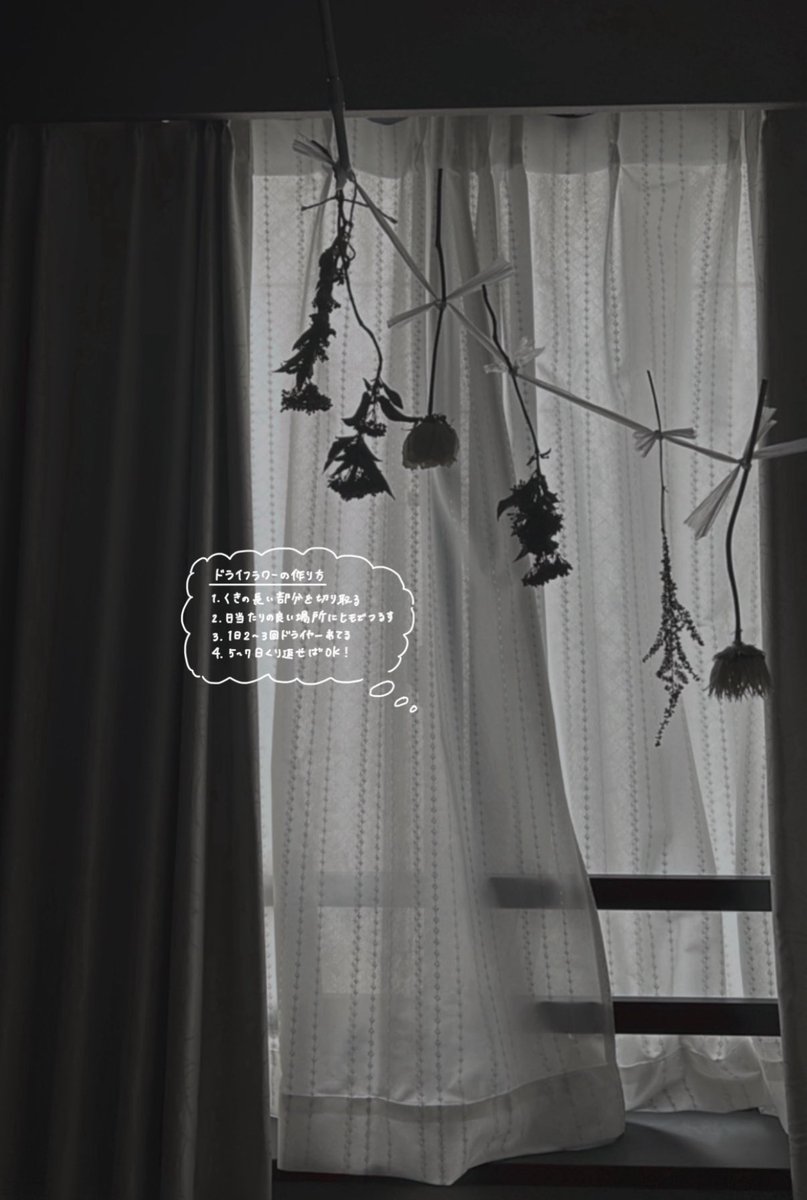 貰った花束を1週間で捨てるの勿体ない、、、

という事でドライフラワーの作り方置いときます⸜🌷︎⸝‍