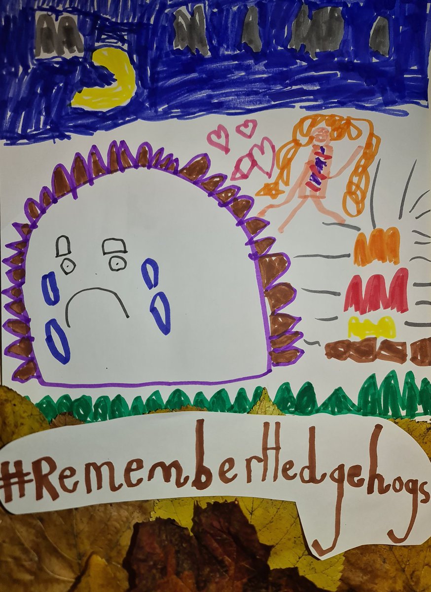 My daughter did not win the British Hedgehog Preservation Society competition. 
I am biased - not least because, as you can see, I appear in the design - but I think this is too too good not to share!
 🍁🍂🤎❤️🦔🧡💛🍂🍁 #BonfireNight2024 #NoBonfiresPlease #RememberHedgehogs