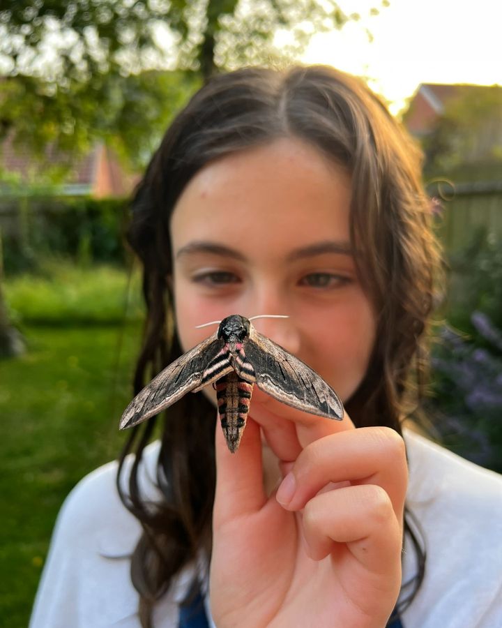 Spending time outdoors and connecting with nature is essential to feeling happier and healthier 🍃🦋

This #OutdoorClassroomDay check out our Discover &amp; Learn hub full of activities to help young people explore the amazing world of butterflies and moths 👉 butrfli.es/3L9sljZ