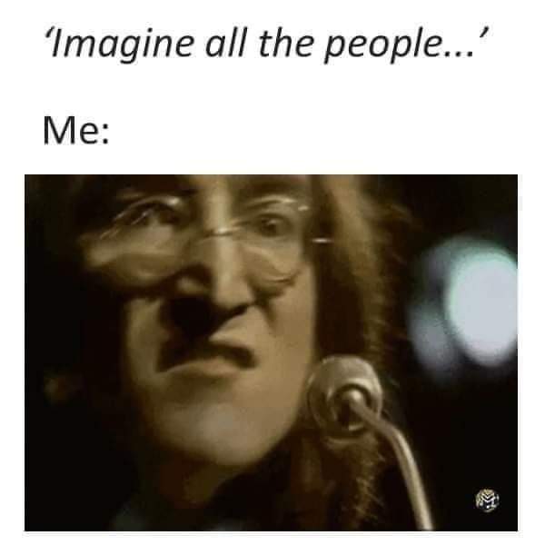 Katta i sekken (@sekken_i_katta) on Twitter photo 