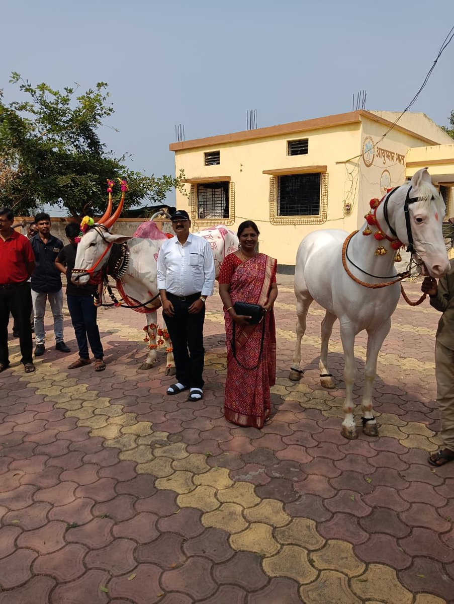DEOAmravati's tweet photo. पशुवैद्यकीय दवाखाना कसबेगव्हाण पंचायत समिती अंजनगाव येथे आज स्वीप मतदार जनजागृती अभियान अंतर्गत पंढरपुरी नंदीवर मतदानाचे घोषवाक्य लिहून मतदार जनजागृती करण्यात आली. या कार्यक्रमास तालुका नोडल अधिकारी तथा सहाय्यक गटविकास अधिकारी  व मतदार उपस्थित होते. https://t.co/yjnw5d4A0i