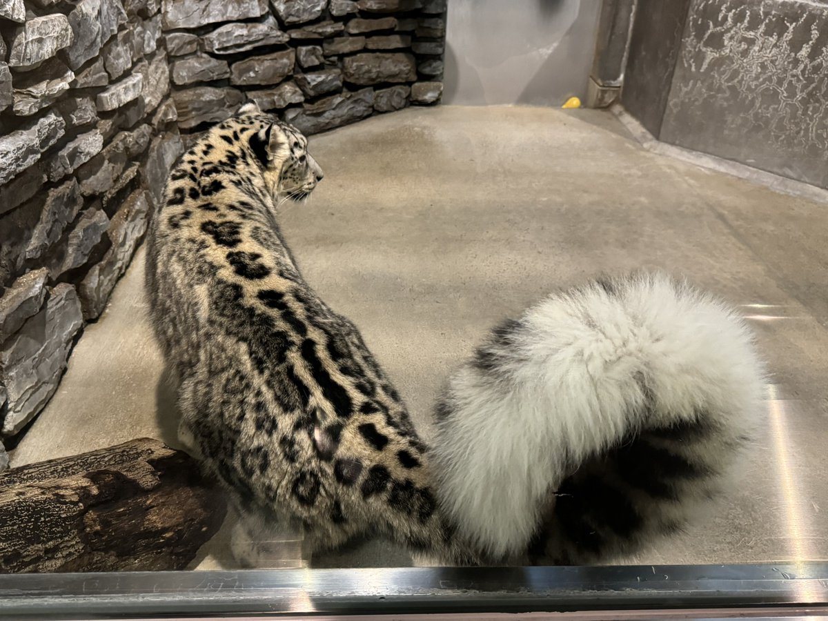 #今日のヒメル
#いしかわ動物園