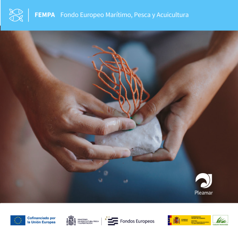 FBiodiversidad's tweet photo. 🪸🎣 #CABALGA es una nueva fase del proyecto #RESCAP de @ICMCSIC que cuenta ahora con @AmicosAsoc para la restauración ecológica y mitigación de los impactos de la pesca artesanal sobre comunidades bentónicas.
#FEMPA @FondosUE_Esp #FondosEuropeos #Pleamar