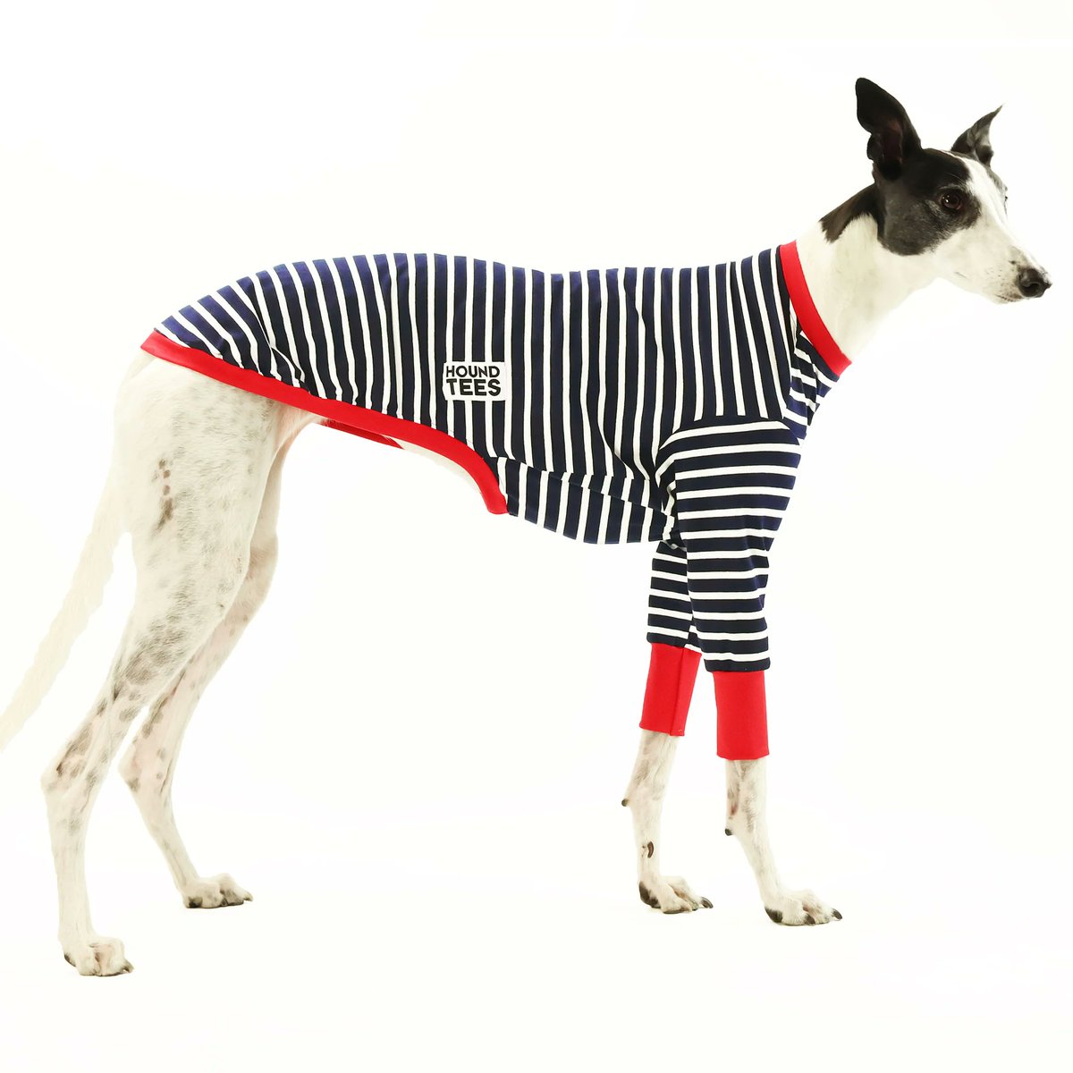 Introducing Hound-Tees! 🤩

We are thrilled to announce that we are the exclusive UK stockist of Houndtees! This fashion-forward Aussie brand creates stylish sighthound apparel, combining fun and quirky patterns with a fabulous cut.

pointyfaces.co.uk/hound-tees
