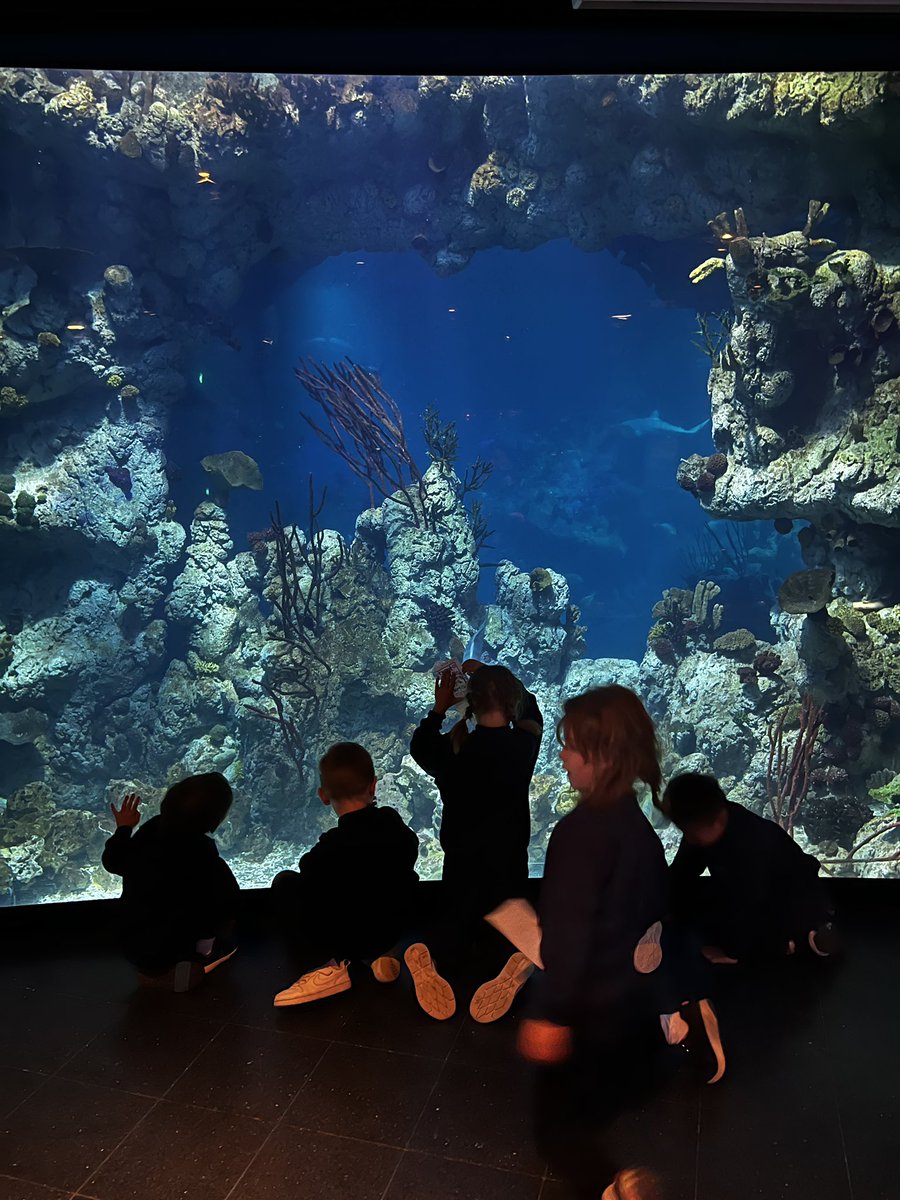 Outdoor Ed tweet media