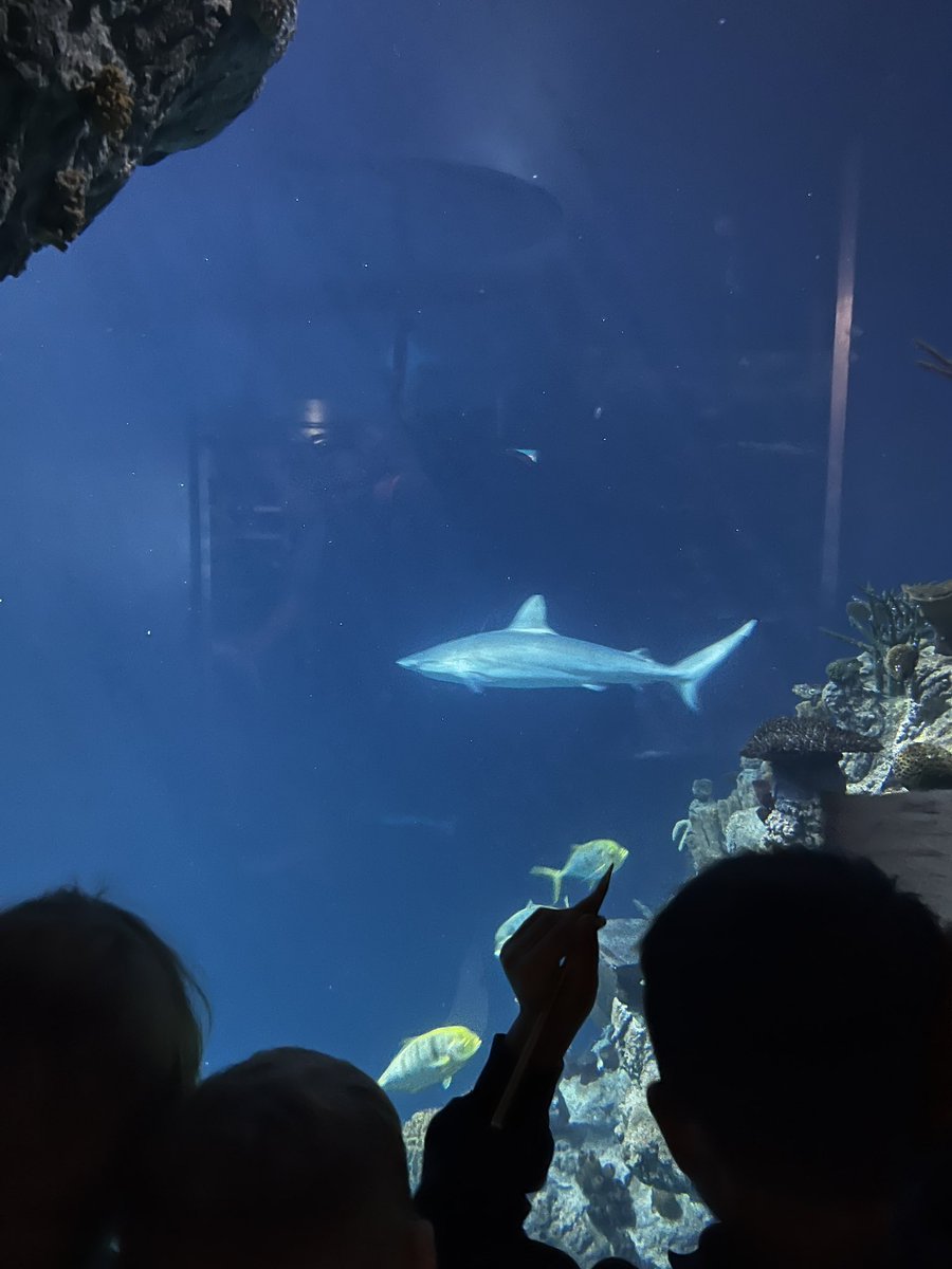 Outdoor Ed tweet media