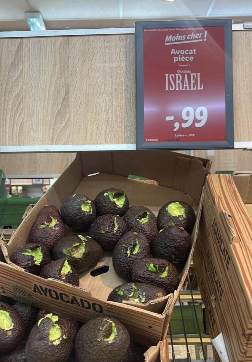 HenMazzig's tweet photo. “Free Palestine” protesters: Claim they have no issue with Jews and only want peace for everyone.

Also “Free Palestine” protesters: Destroy every avocado simply because it’s labeled “Israel.”

These avocados come from Kibbutz Be’eri, which was deeply affected by the October 7 massacre, but I’m sure damaging them really helped the Palestinian cause.