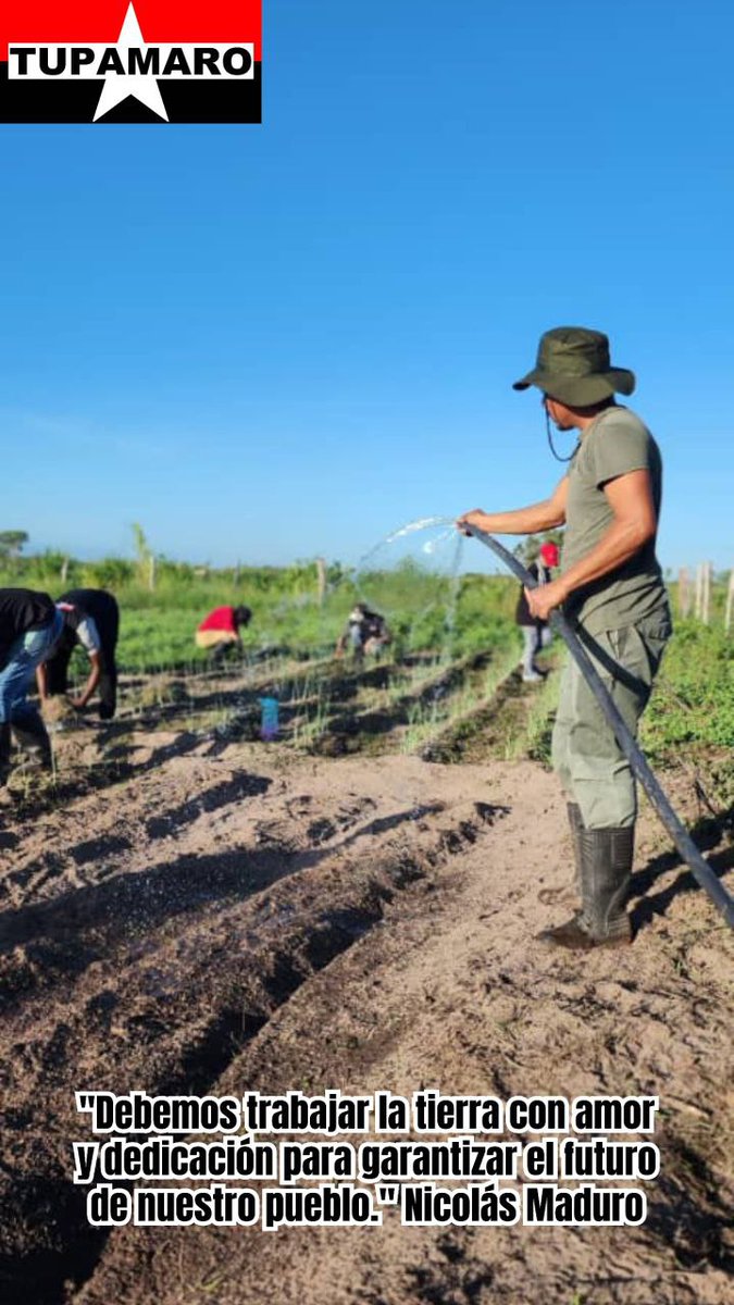 "El campesino, trabajando la tierra, participa en la creación de la historia... Cultivar la tierra es luchar por la libertad y la justicia, por la soberanía alimentaria y la autonomía del pueblo".
Antonio Gramsci 📚

<a href="/NicolasMaduro/">Nicolás Maduro</a> 
#TodoElPartidoUnaEscuela