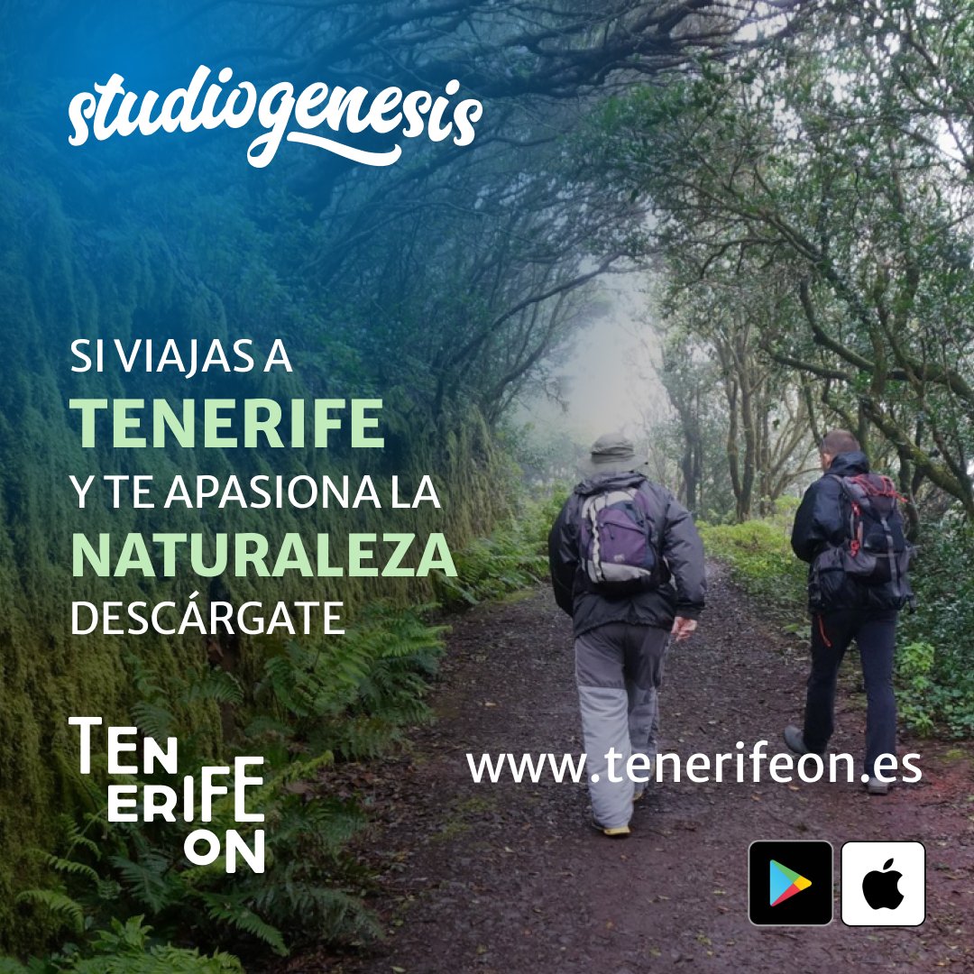 Studiogenesis tweet media