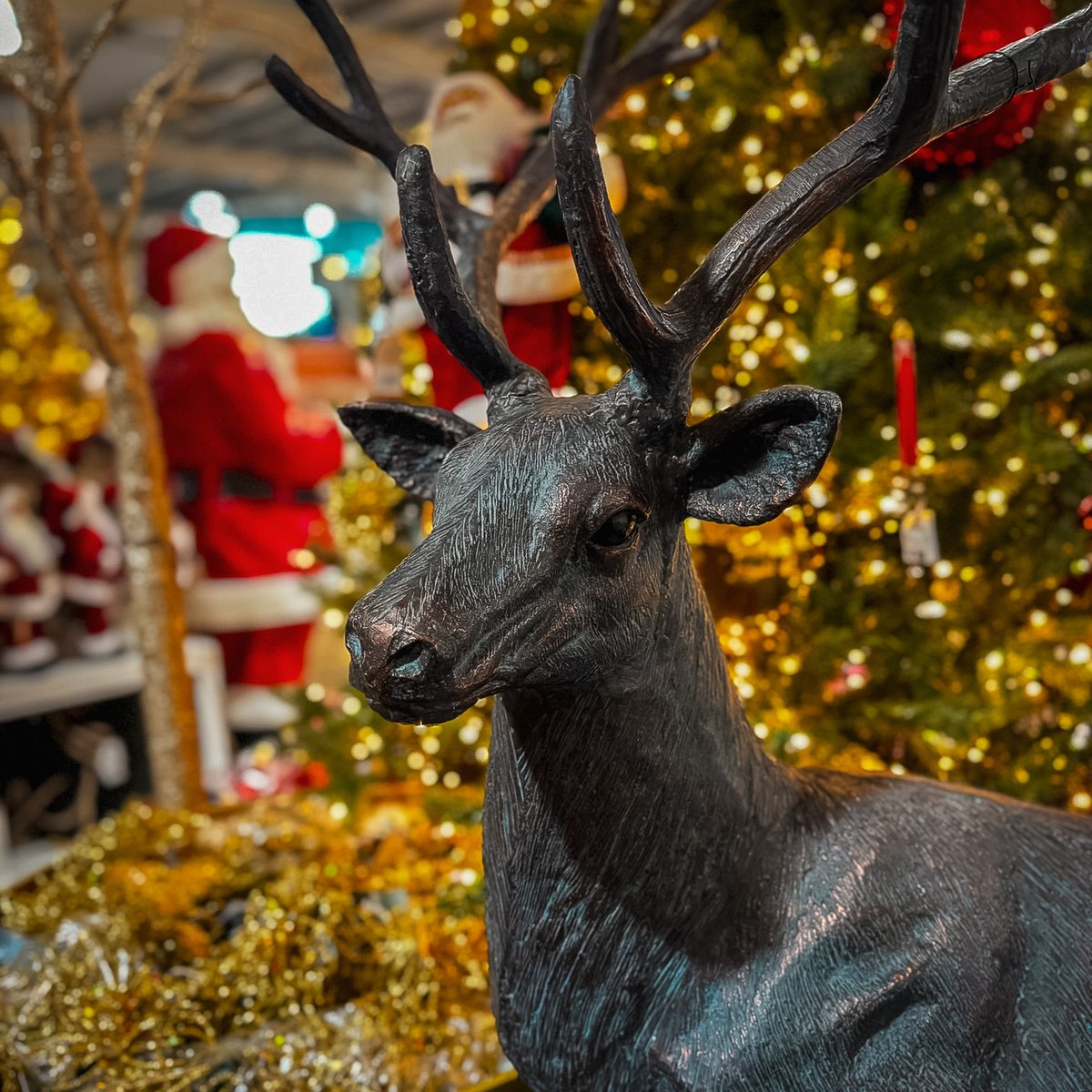 ✨ Christmas has arrived at Trentham! The Blue Diamond Trentham Garden Centre has festive displays &amp; gifts galore. Join us on Thursday 14th Nov for the Christmas Light Switch-On + Late Night Shopping in the shopping village! 🎄✨ #ChristmasAtTrentham #HolidayMagic