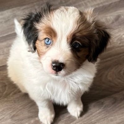 CharNeal16's tweet photo. #NewProfilePic https://t.co/a6O3DYpSfW