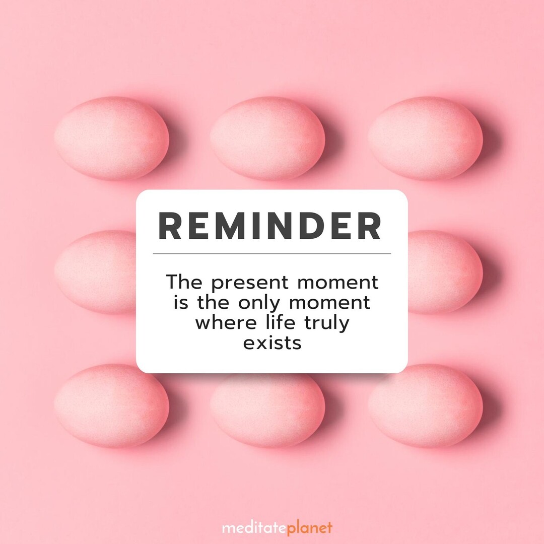 meditateplanet's tweet photo. The present moment is the only moment where life truly exists.

🕰️🌟🌿

#PresentLife #LivingNow #TrueExistence https://t.co/xJHAa4TctC