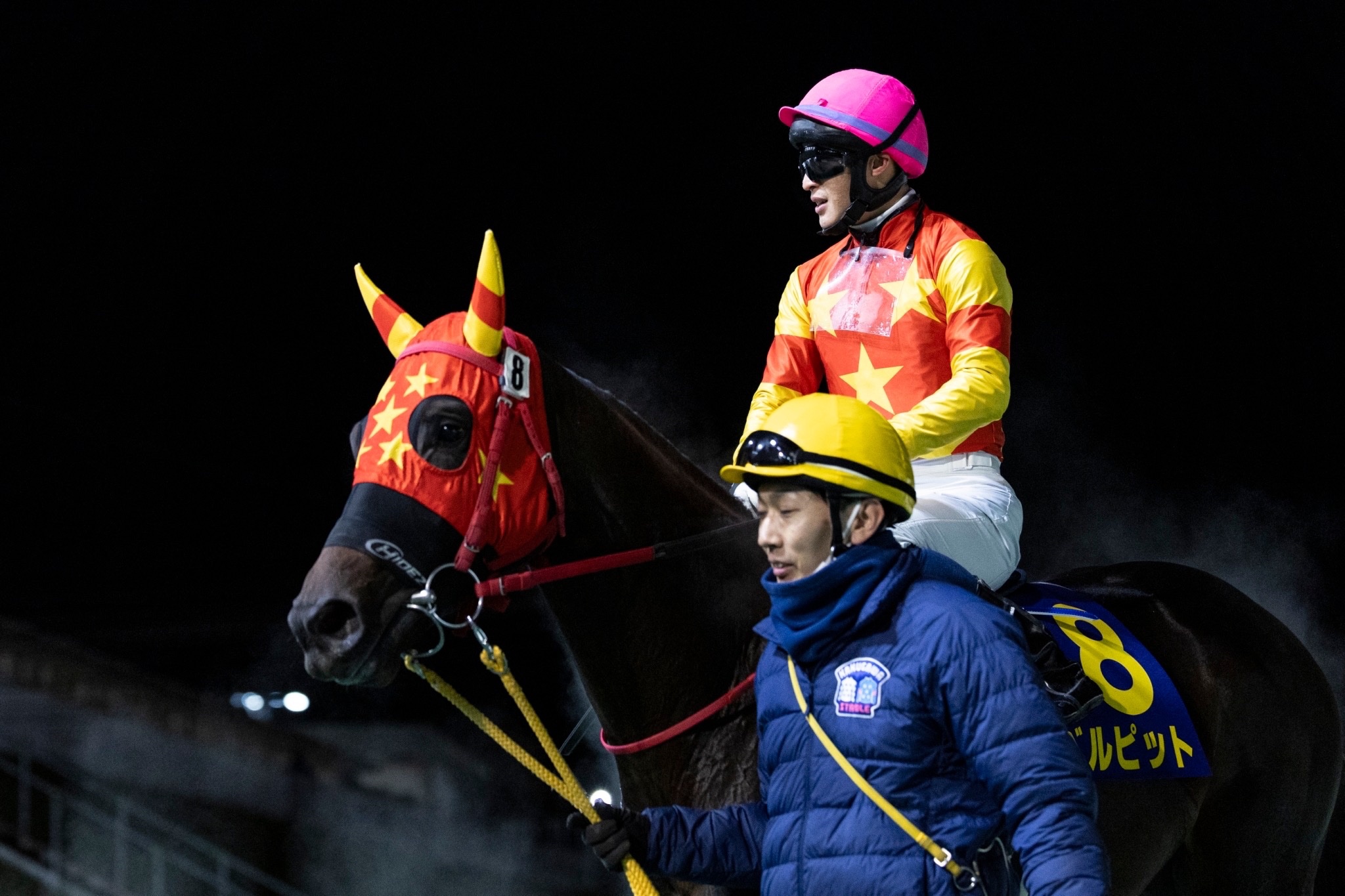 地方競馬全国協会(NAR)公式 on X: 地方競馬全国協会(NAR)公式 on X: