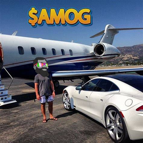 Just like $ELON and $MOG broke through barriers, $AMOG is here to lead with strength and confidence. Only the true alphas are ready to mog this market. 🦍💥 #AMOG #AlphaPower #CryptoKings