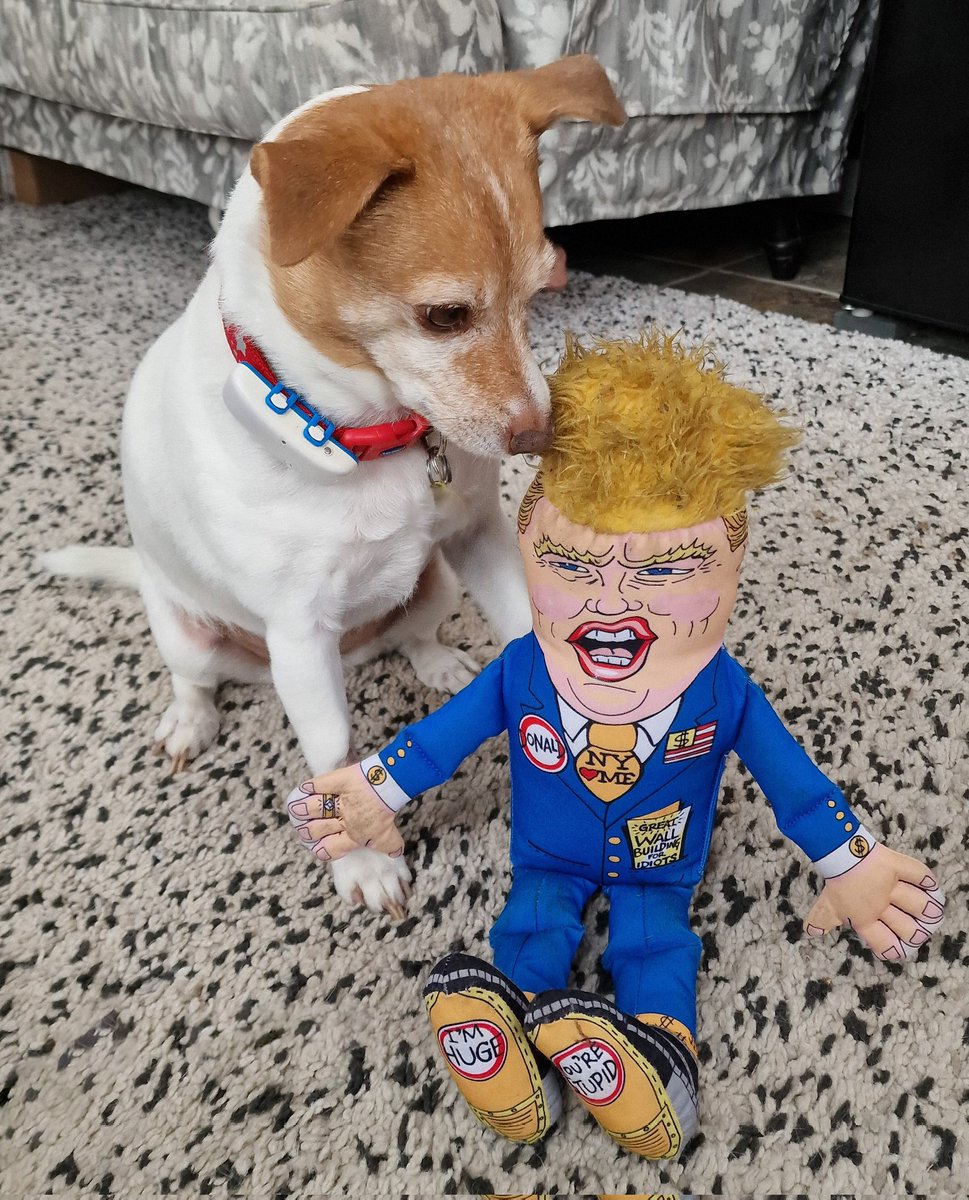 Uk's 🇬🇧 #1 <a href="/realDonaldTrump/">Donald J. Trump</a> fan