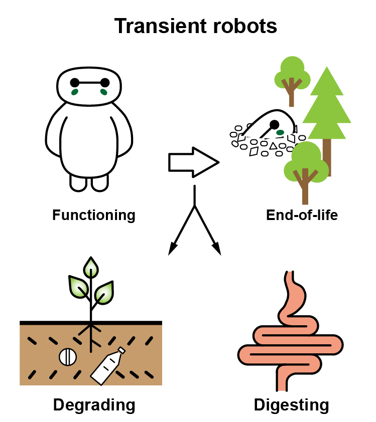 SoftLab Bristol (@softlabbristol) on Twitter photo See our new perspective paper on Transient and Edible Robots๐๐คin <a href="/CellPressNews/">Cell Press</a> Devices, doi.org/10.1016/j.deviโฆ. Well done Qiukai Qi and all! <a href="/CaironiPME/">PME - Printed and Molecular Electronics</a> <a href="/IITalk/">IIT</a> <a href="/robo_food/">RoboFood</a> <a href="/EPFL/">EPFL</a> <a href="/WUR/">Wageningen U&R</a> See our new perspective paper on Transient and Edible Robots๐๐คin <a href="/CellPressNews/">Cell Press</a> Devices, doi.org/10.1016/j.deviโฆ. Well done Qiukai Qi and all! <a href="/CaironiPME/">PME - Printed and Molecular Electronics</a> <a href="/IITalk/">IIT</a> <a href="/robo_food/">RoboFood</a> <a href="/EPFL/">EPFL</a> <a href="/WUR/">Wageningen U&R</a>