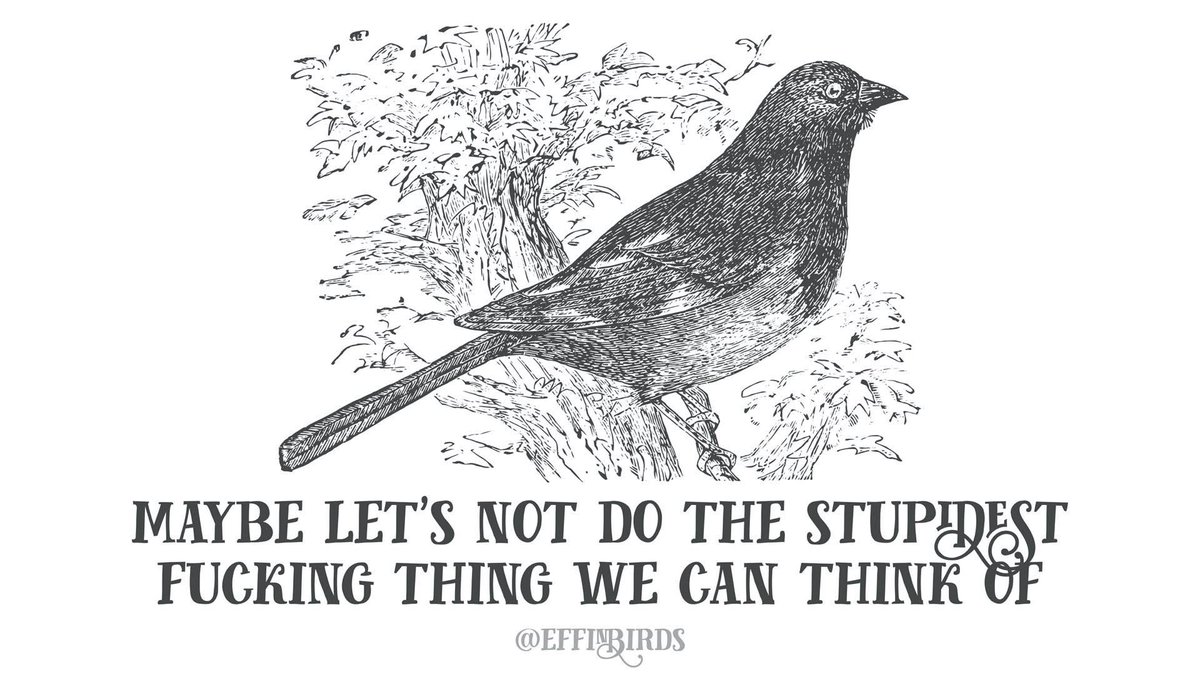 Effin' Birds tweet media