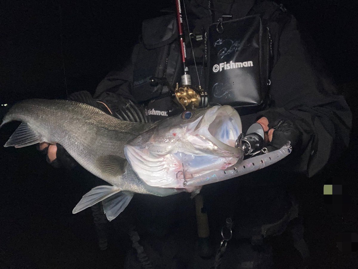 yosyoku_fishing's tweet photo. ひんやりカルコンの時期になってまいりました*🥶💨*
#Fishman #comodo75H
#BlueBlue #BLOOOWIN165Fslim
#shimano #カルカッタコンクエスト201HG https://t.co/vpDrbsPAQT