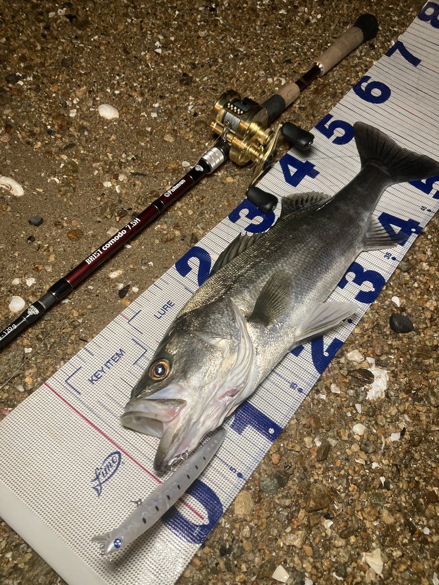 yosyoku_fishing's tweet photo. ひんやりカルコンの時期になってまいりました*🥶💨*
#Fishman #comodo75H
#BlueBlue #BLOOOWIN165Fslim
#shimano #カルカッタコンクエスト201HG https://t.co/vpDrbsPAQT