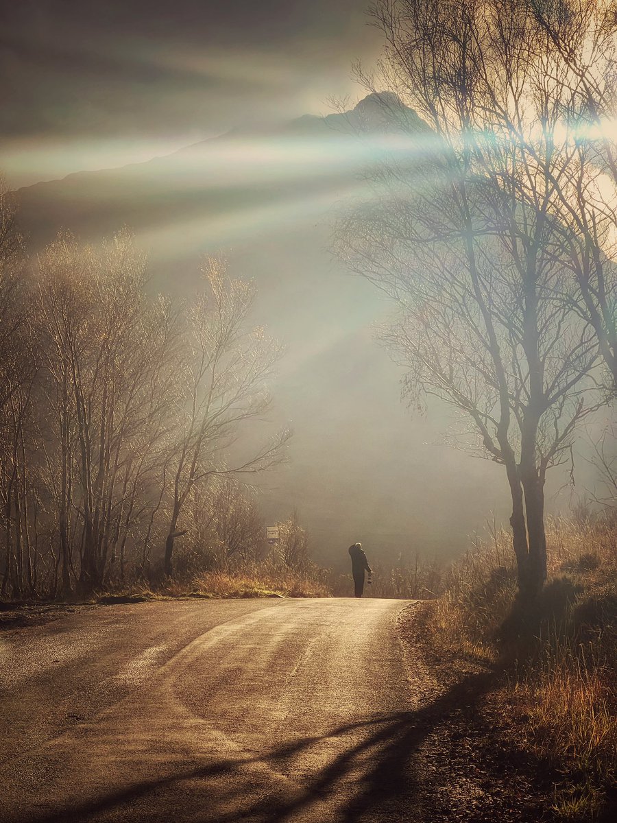 An afternoon wander #iphone