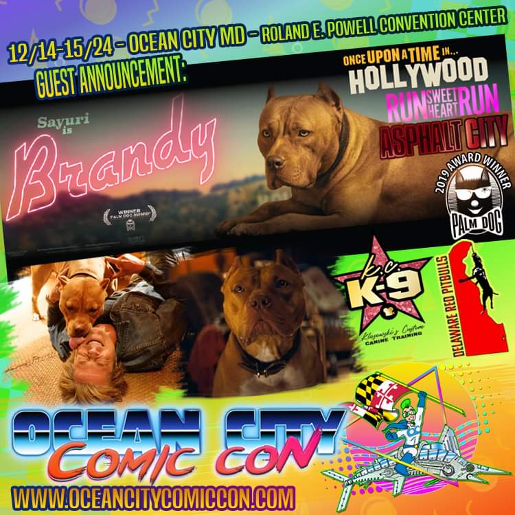 🐕welcome back our very first canine guest, Sayuri!🐕
She made waves as Brandy in Quentin Tarantino's Once Upon a Time in Hollywood, Run Sweetheart Run, &amp; Asphalt City.

Tix &amp; more: linktr.ee/OceanCityComic…

#pupper #moviedog #ocmd #oceancitycomiccon