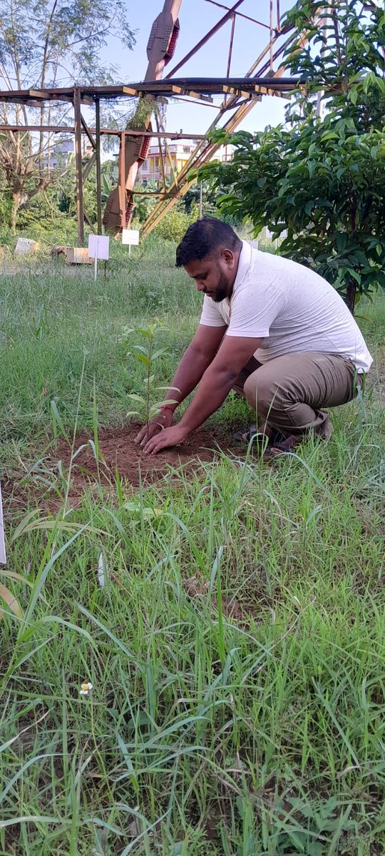 ddtripura's tweet photo. Staff and others of Doordarshan Kendra, Agartala participated in plantation programme "Ek Ped Maa Ke Naam" on  07.11.2024 https://t.co/HalYl6YbvA