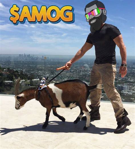 If you loved $KIBA and $HUSKY, $AMOG is your next move. This is the alpha project for those who don’t just join the crowd—they run it. Time to mog up. 💪👑 #AMOG #MemeCoinTakeover #CryptoAlpha