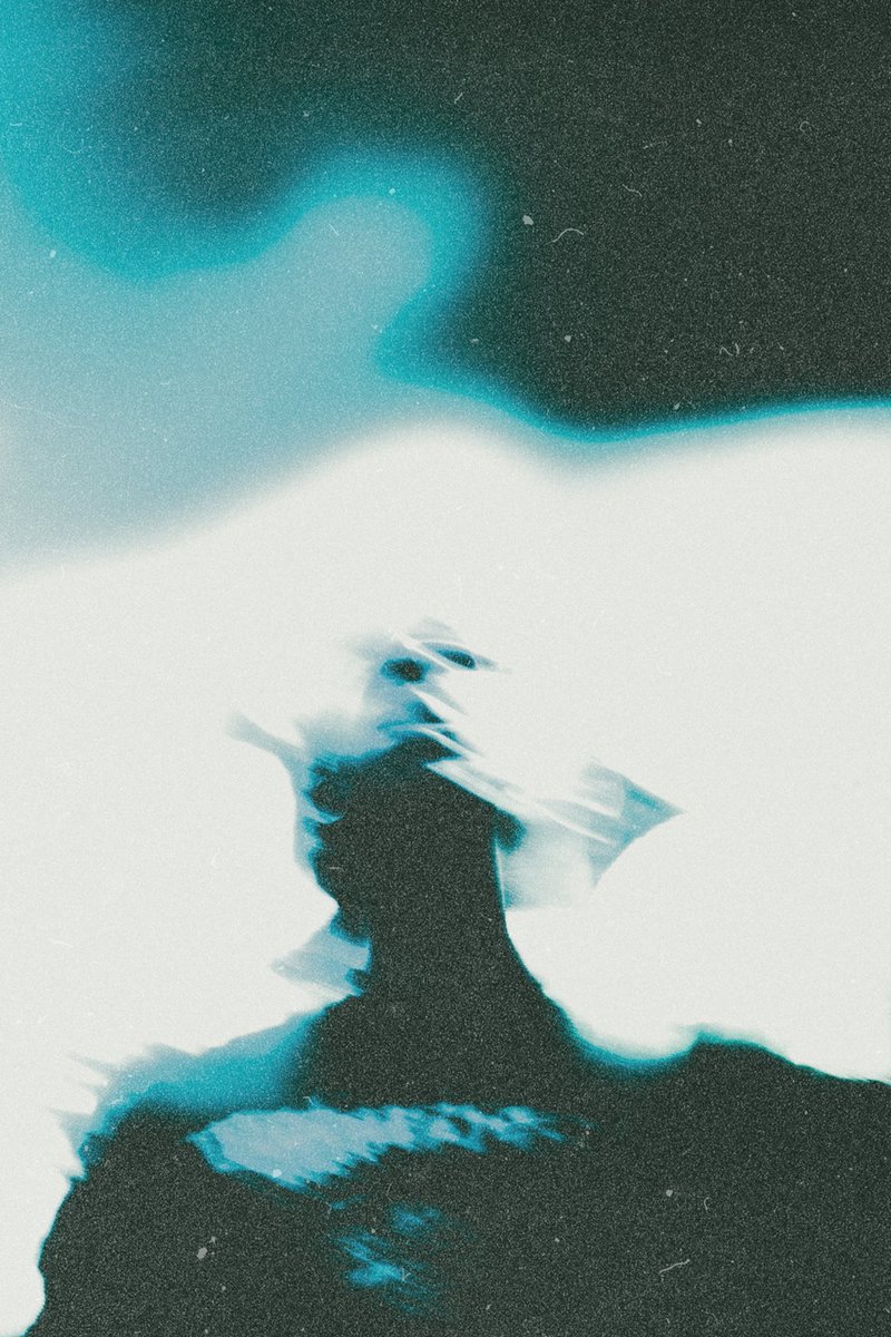 bailey, like the liquor tweet media