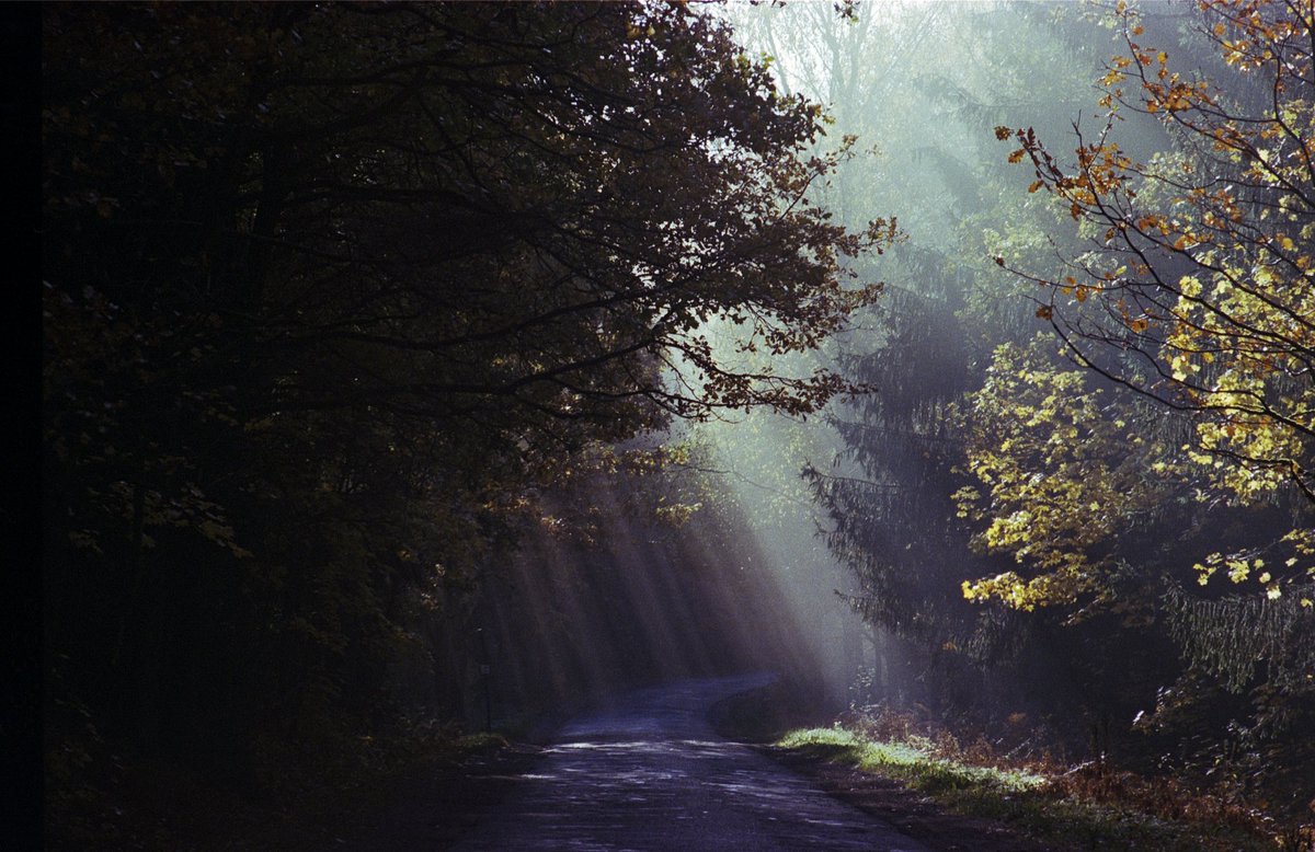 #FotoZKliszy zdjecie bezpośrednio z kliszy bez obrabiania, bez Photoshop bez AI, czysta forma. Film KodakUltraMax400 aparat Contax Rx. #Warmia #photo