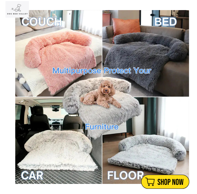 dogbedvalley's tweet photo. Anxiety doesn’t have to keep your dog from getting the rest they need. 🚫💤 Our Calming Bed provides security and comfort, promoting better, more peaceful sleep for anxious pups! 🐾
Shop Now: https://t.co/LPSKknFBvP

#DogSofaBed #CalmingDogBed #PetSofa #PetShop #CalmingPetBed https://t.co/G3uJZq9iCK