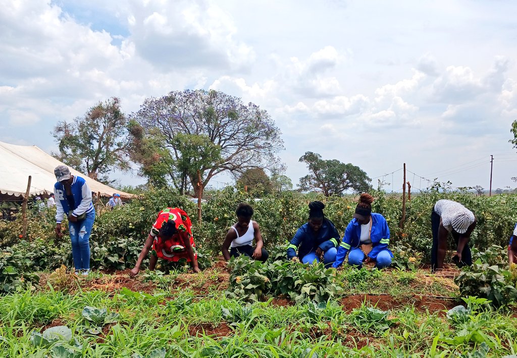 GermanyinZambia's tweet photo. @AKTC_Zambia: #ConservationAgriculture practices firsthand!💧
✔️Comparing tillage methods for most #ClimateResilience. 
✔️Sustainable #agroecosystem: inclusion of trees for dietary &amp; economic diversification, improved microclimate, #SoilFertility &amp; #BioDiversity &amp; less erosion.🌳 https://t.co/Ow3aBRJpHa