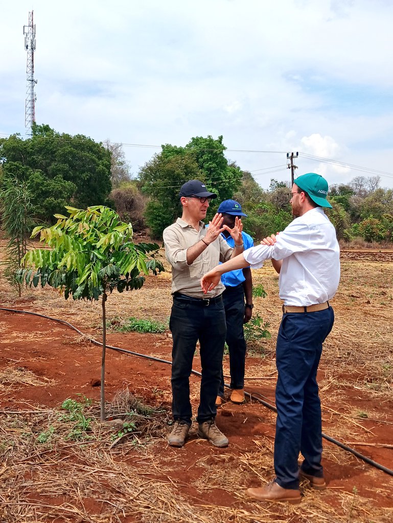 GermanyinZambia's tweet photo. @AKTC_Zambia: #ConservationAgriculture practices firsthand!💧
✔️Comparing tillage methods for most #ClimateResilience. 
✔️Sustainable #agroecosystem: inclusion of trees for dietary &amp; economic diversification, improved microclimate, #SoilFertility &amp; #BioDiversity &amp; less erosion.🌳 https://t.co/Ow3aBRJpHa