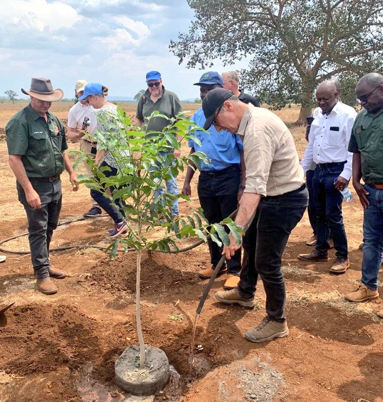 GermanyinZambia's tweet photo. @AKTC_Zambia: #ConservationAgriculture practices firsthand!💧
✔️Comparing tillage methods for most #ClimateResilience. 
✔️Sustainable #agroecosystem: inclusion of trees for dietary &amp; economic diversification, improved microclimate, #SoilFertility &amp; #BioDiversity &amp; less erosion.🌳 https://t.co/Ow3aBRJpHa