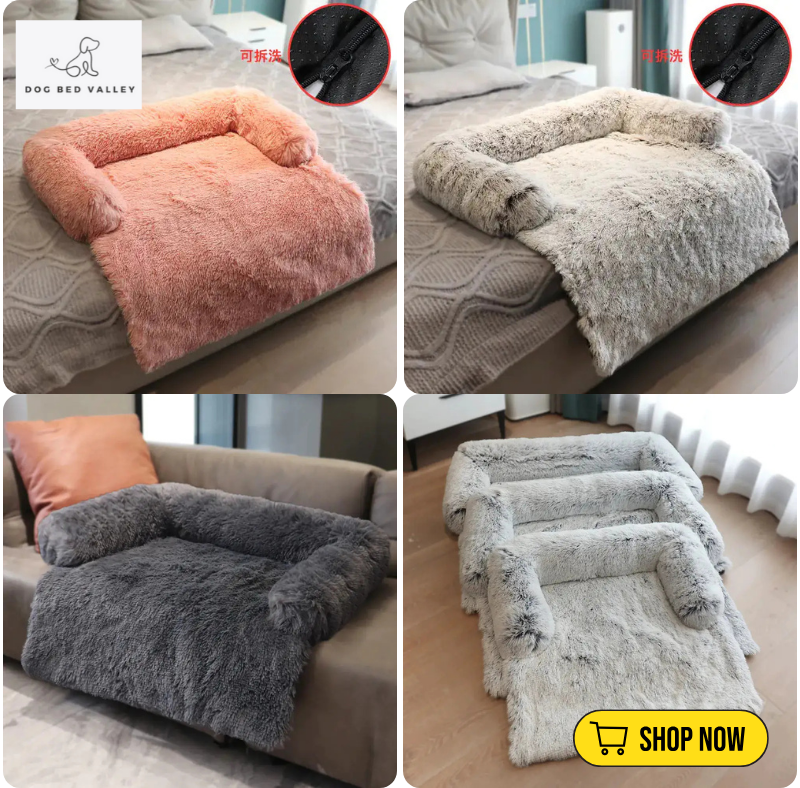dogbedvalley's tweet photo. Anxiety doesn’t have to keep your dog from getting the rest they need. 🚫💤 Our Calming Bed provides security and comfort, promoting better, more peaceful sleep for anxious pups! 🐾
Shop Now: https://t.co/LPSKknFBvP

#DogSofaBed #CalmingDogBed #PetSofa #PetShop #CalmingPetBed https://t.co/G3uJZq9iCK