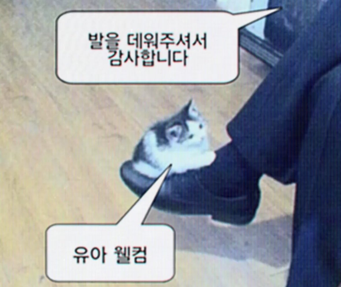 beanpicker (@beanpicker) on Twitter photo 