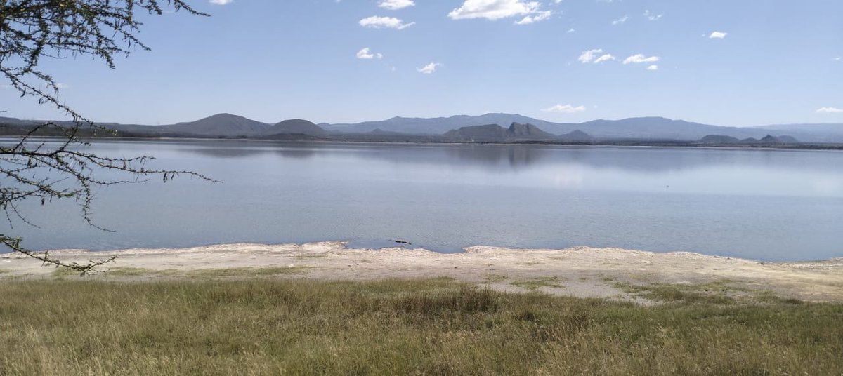 OlankaSafaris's tweet photo. @MagicalKenya, The Earth Meets The Heavens;
The quiet beauty of Lake Elementaita, a reminder of Kenya’s untouched landscapes and nature's unending magic.

📍-Lake Elementaita
📷-@OlankaSafaris

#landscapesKE #TembeaKenyaPhotoContest #TembeaKenya #magicalkenya https://t.co/q50nCjxo1f