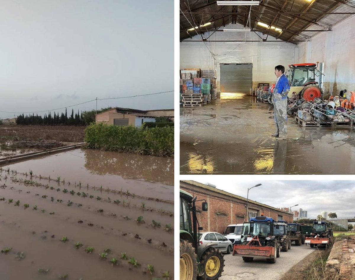 Campaña #CultivemosSolidaridad por la agricultura familiar valenciana ‼️

La DANA ha dejado campos anegados y maquinaria inservible, pero los agricultores y agricultoras han estado allí desde el primer momento, ayudando a las vecinas y vecinos🚜🧑‍🌾🌱

cerai.org/cultivemos-sol…