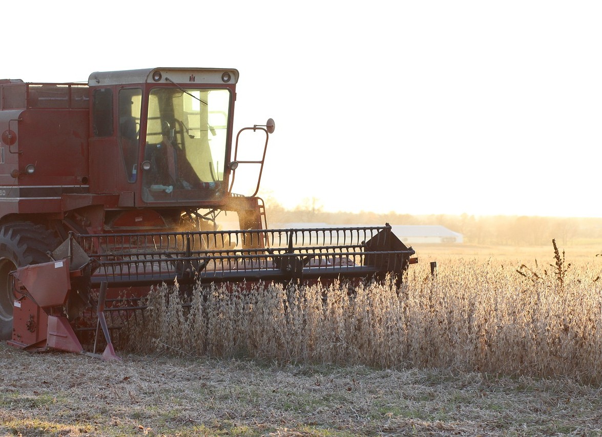 CanadaOilseeds's tweet photo. What are oilseeds? Canola, soybeans, mustard &amp; camelina. They’re used in a variety of things from edible oil to biofuels. Discover how ECODA’s investing in the future of Eastern Canadian oilseeds: https://t.co/qH4aYRN0ZP #agresearch #oilseeds #easterncanada https://t.co/q8OvIAFy83