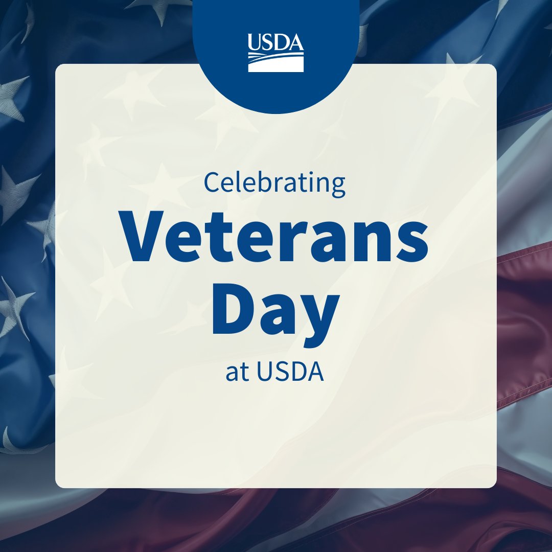 From all of us here at USDA Rural Development, have a happy and meaningful Veterans Day!