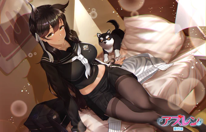 #いいおなかの日 