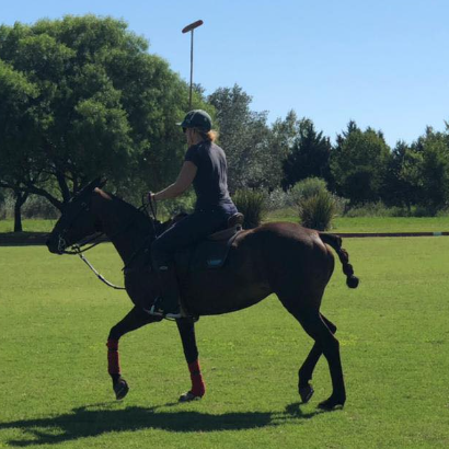 polo_holidays's tweet photo. Playing Polo in the Mecca of Polo 
https://t.co/iRLzJ9Yyc7

#ArgentinaPoloHolidays #PoloExperience #TravelArgentina #PoloAdventure https://t.co/vNM41sK1fC