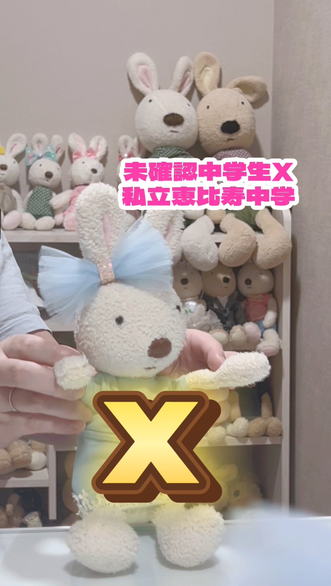 ル・シュクル ウエディングぬいぐるみ2 うさぎ ル・シュクル ウエディングぬいぐるみ2 うさぎ - メルカリ