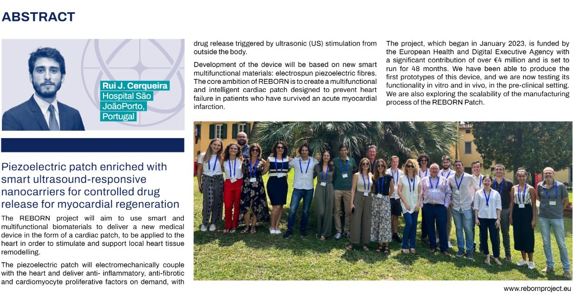 Reborn Project tweet media